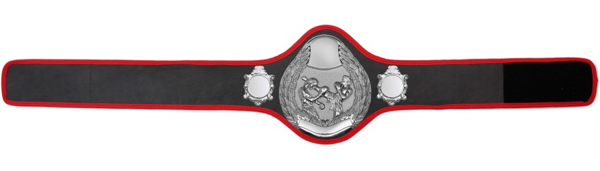 THAI BOXING CHAMPIONSHIP BELT-PRO301/S/TBOS- 10 + COLOURS THAI BOXING CHAMPIONSHIP BELT-PRO301/S/TBOS- 10 + COLOURS